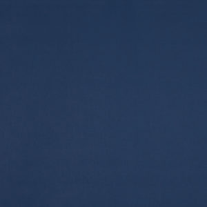 Polaris Standard Rollers Blind - Navy
